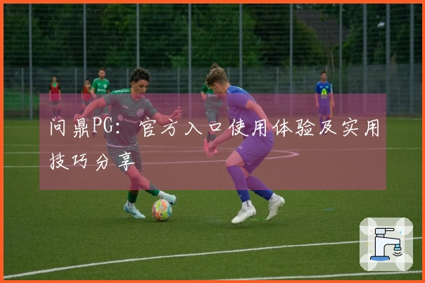 问鼎PG：官方入口使用体验及实用技巧分享