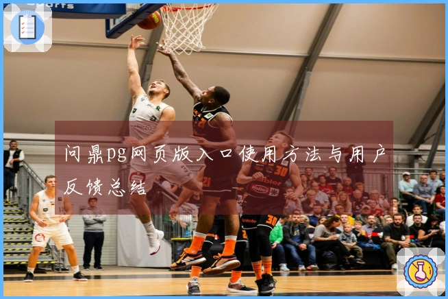 问鼎pg网页版入口使用方法与用户反馈总结