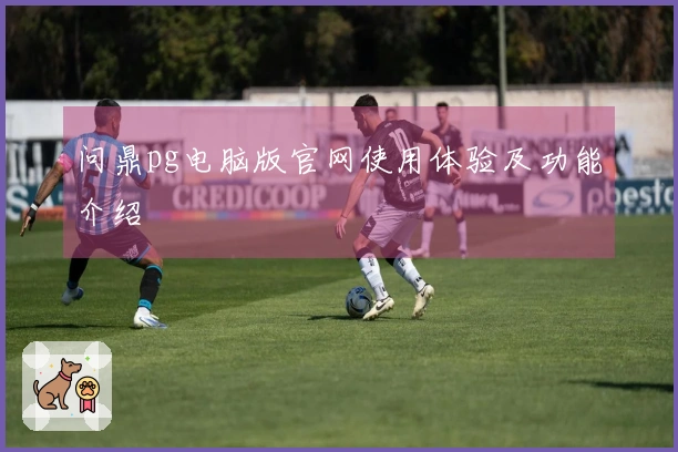 问鼎pg电脑版官网使用体验及功能介绍