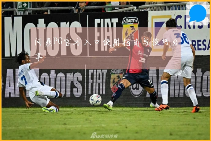 问鼎PG官方入口使用指南与技巧分享